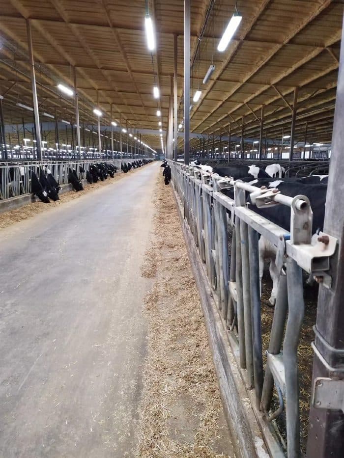 Banner barn after the Hullray T21 retrofit