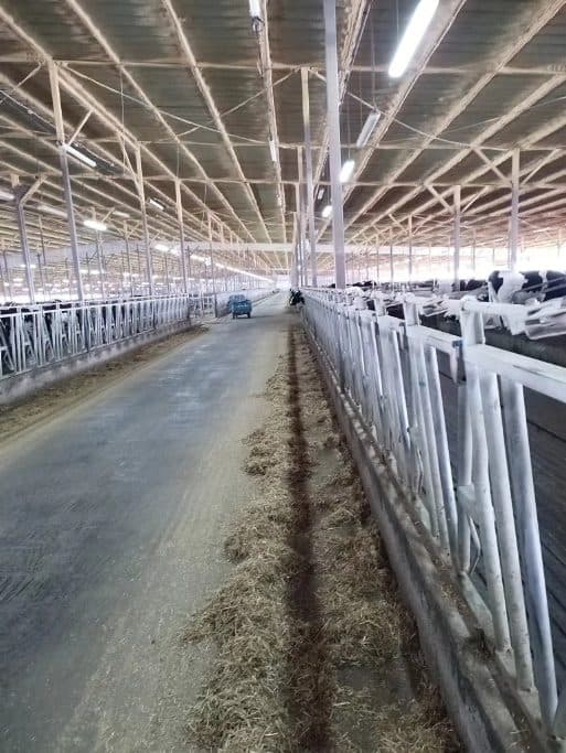 Banner barn before the Hullray T21 retrofit